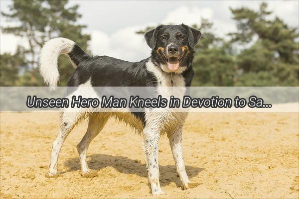 Unseen Hero Man Kneels in Devotion to Save Dogs Life Unleashing the Heartwarming Power of Loyalty